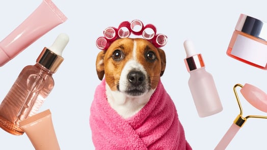 A dog wearing hair curlers and a pink towel surrounded by beauty products.