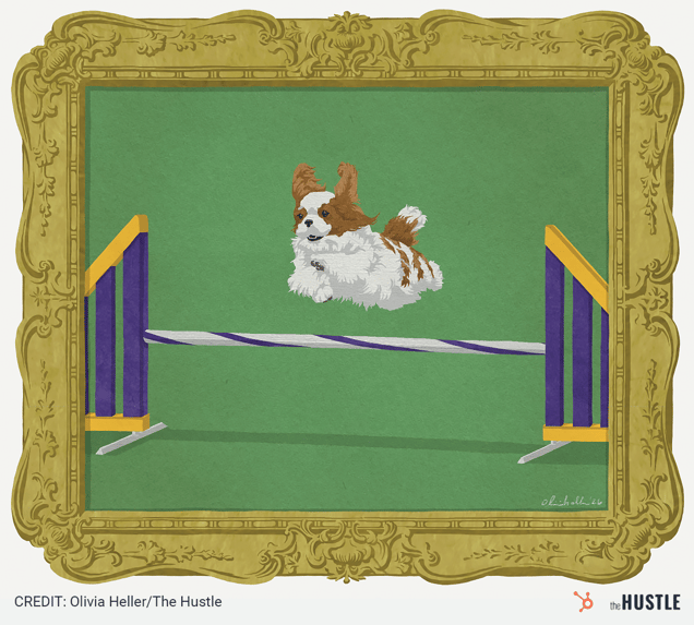 Illustration of small white and brown dog jumping over agility hurdle