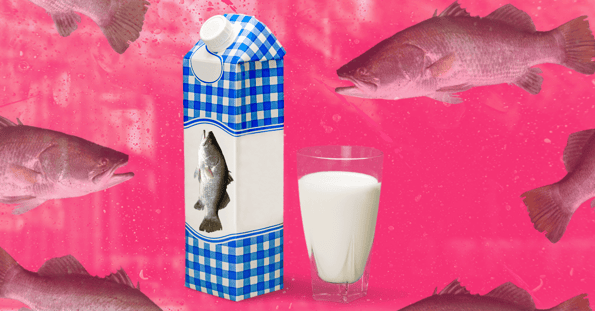 A carton of milk with a fish on it next to a pint glass of milk.