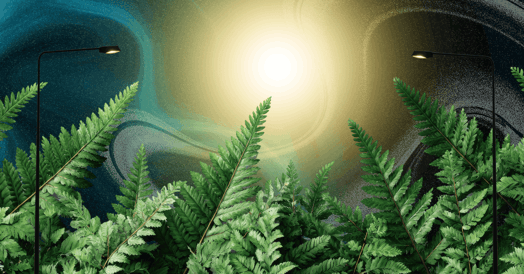 Ferns with a yellow glow in the background and two streetlights. 
