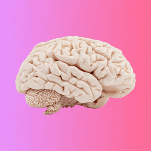 A brain pulsing pink