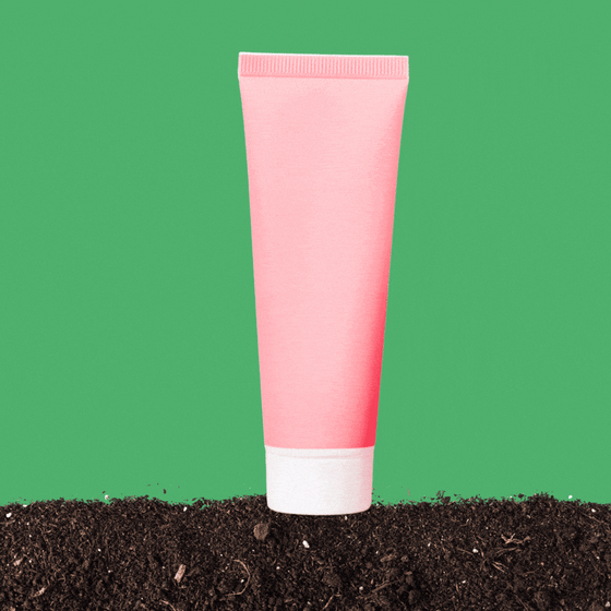 A pink tube sinks into the earth and becomes a pink flower.