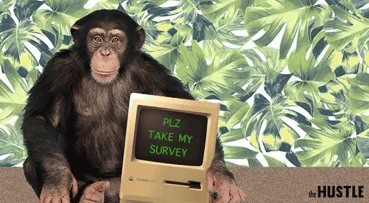 SurveyMonkey files for $100m IPO after 19 years