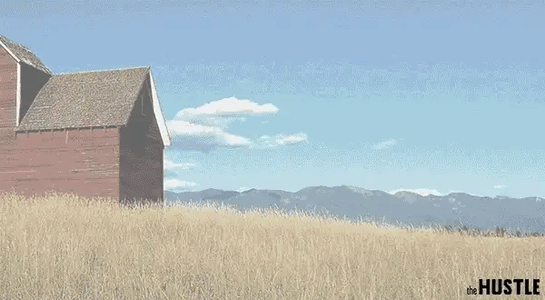 Relentless suitor Bayer wins permission to partner with Monsanto in a $62.5B deal