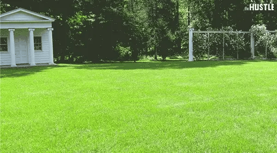 Trendy outerwear brand Canada Goose flaps its way into China — and a $3.4B market cap