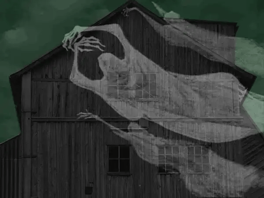 Want a great deal on a house? Find one where someone was murdered.