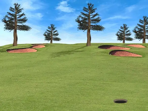 The strange business of hole-in-one insurance