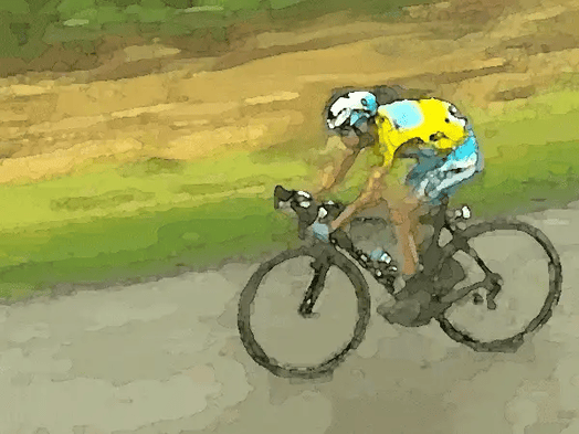 The economics of the Tour de France