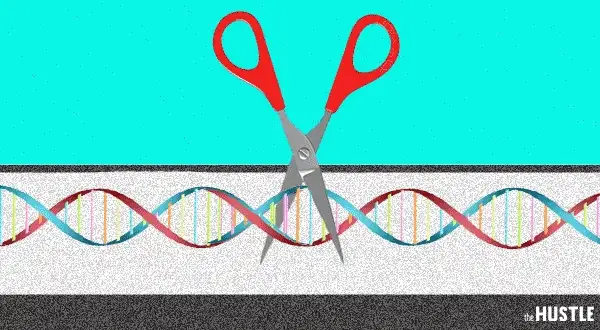 Gene-editing treatment Crispr gets caught up in cancer scare, sending stocks plummeting