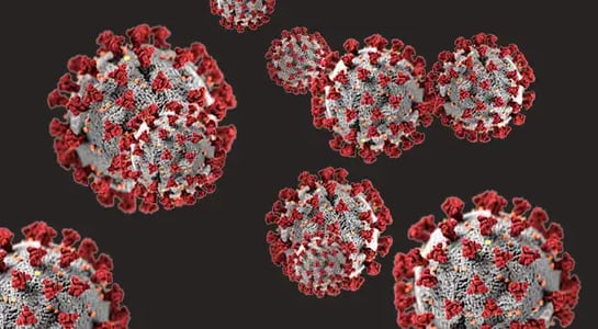 AI is helping scientists sort through heaps of coronavirus research
