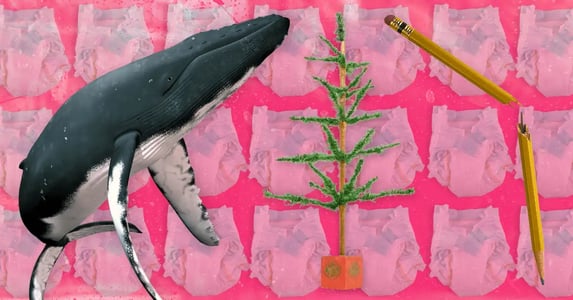 A collage showing a humpback whale, a sparse artificial Christmas tree, and a broken pencil against a pink background patterned with diapers.