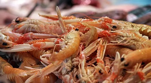 Seafood’s getting slimy: New investigation shows ⅕ of US seafood tested was mislabeled