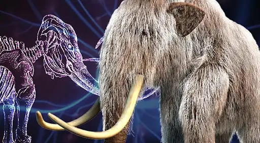 A company just raised $15m to ‘resurrect’ woolly mammoths