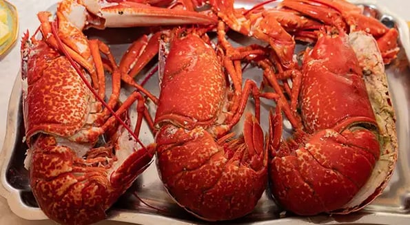 Lobsters are finally out of the trade war steamer