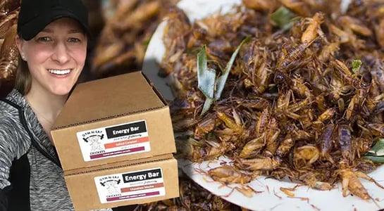 Salted caramel crickets? This entrepreneur is spicing up the insect protein biz