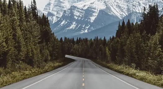 Happy 4th (story): You aren’t the only one going out of town this long weekend