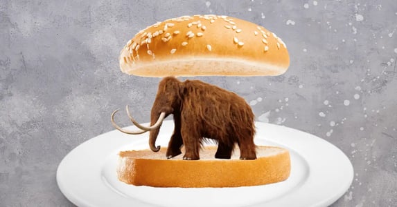 A woolly mammoth inside of a burger bun on a white plate with a gray background.