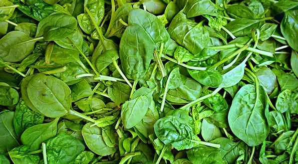 USDA hopes to revive spinach sales with a more colorful variety