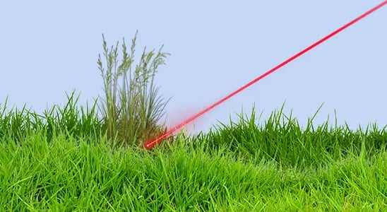 laser zapping weeds