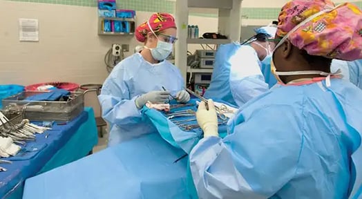 The rise of ‘medical tourism’: Doctours is now expanding its services