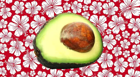 For the first time in 26 years, mainlanders can top their toast with Hawaiian avocados