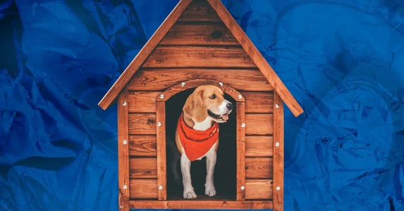 A beagle in a red bandana emerging from a brown wooden dog house.