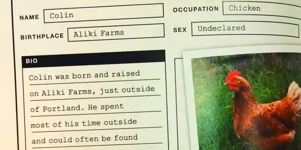 Facial recognition: coming to an organic chicken near you