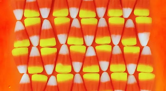 Four rows of candy corn arranged on an orange background.