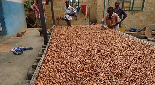 Hershey wants to clean up the chocolate trade