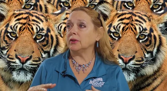 Your best Cameo shoutouts: The Nature Boy, Big Cat Rescue, and a 90th-birthday surprise