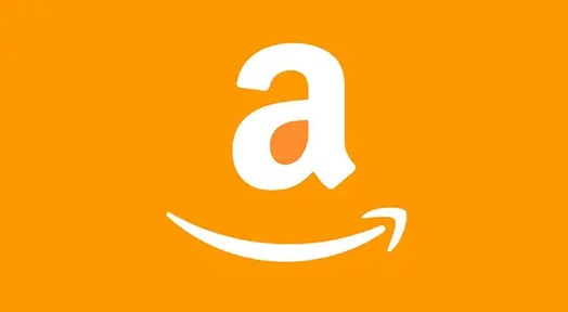 Amazon wants to be the official platform of the government’s online shopping addiction