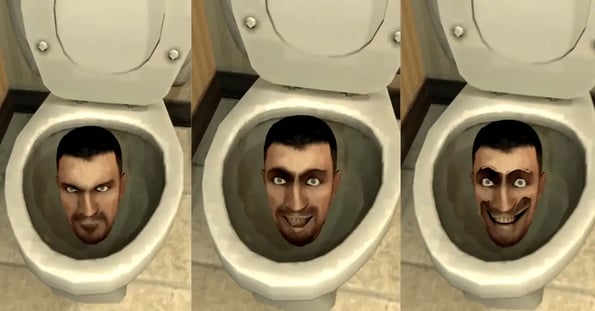 head in a toilet
