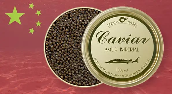 Global markets are choked with Chinese caviar, and it’s sink or swim for US producers 