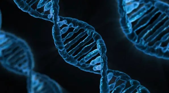 That’s so future: Genetic programming startup, Ginkgo Bioworks, raises $290m