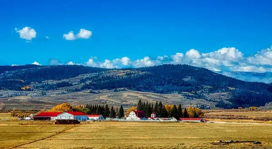 The least-populous state in the US has become a hub for crypto companies