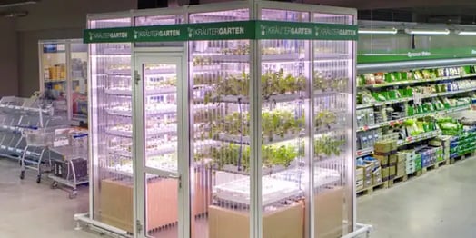 Infarm raises $25m to bring fresh produce to cities across Europe