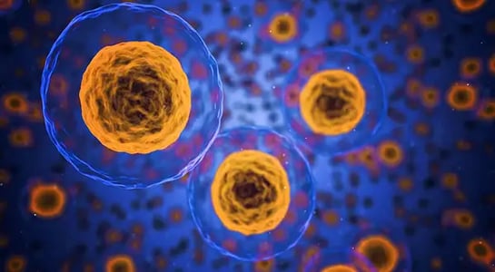 The unproven science behind selling cells