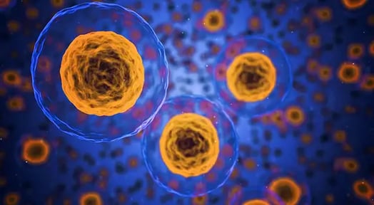 The unproven science behind selling cells