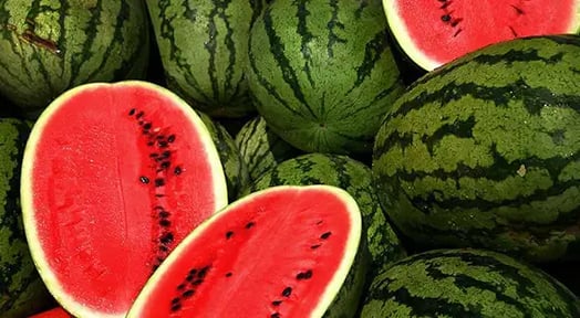 After a sweet political plug, the Afghan melon market might make it after all