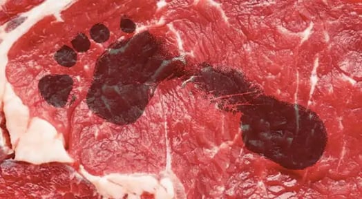 Will carbon footprints be the new calorie counts?