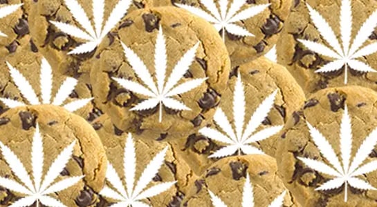 Cannabis giant Tilray to acquire the world’s largest hemp food company