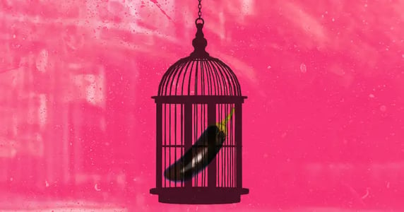An eggplant locked inside a birdcage against a pink background.
