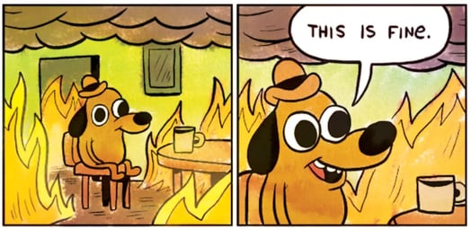 Someone rescued the ‘this is fine’ dog and it’s hysterical