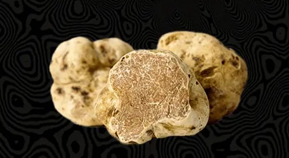 When the going gets tough, the truffles quit growing…