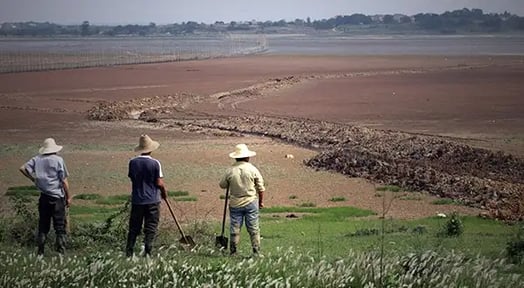 China’s farmers borrow from the streamer’s playbook: They’re going live