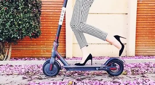 Bird is reportedly flapping its electric wings to a $1B valuation