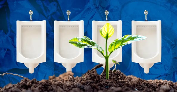 A green seedling rises from a mound of dirt with a row of white urinals in the background.