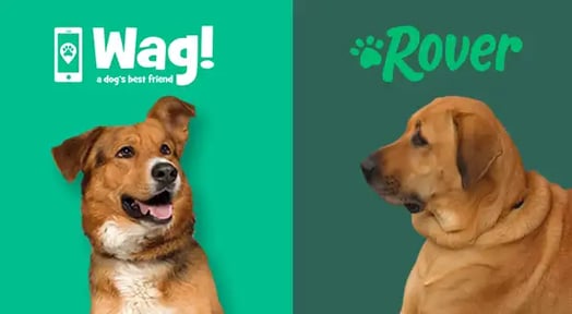 Pet startup smackdown leaves vital question unanswered: Who will let the dogs out?
