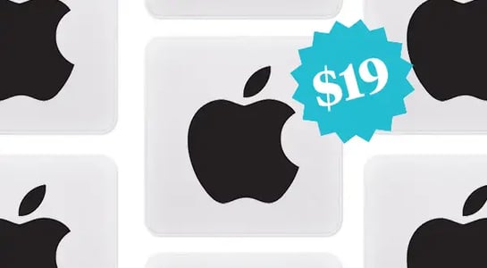 Apple sells a $19 polishing cloth. The price point actually makes sense