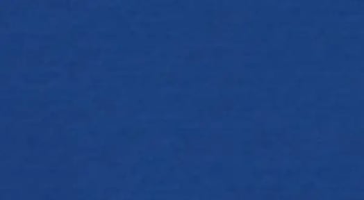Pantone announces the color of the year and reminds us: It really is hue you know